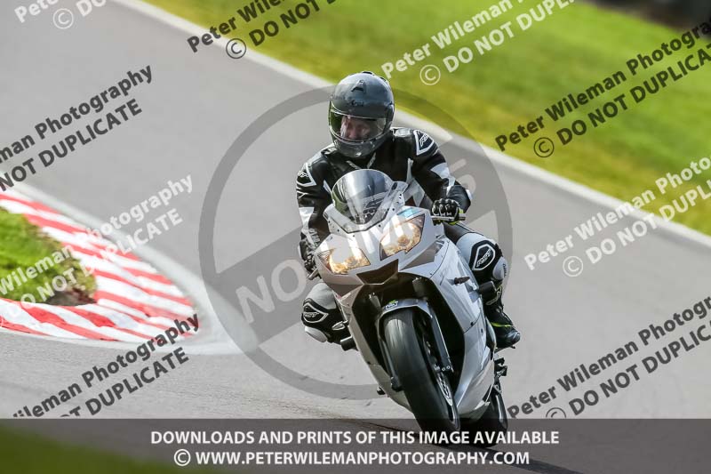 Oulton Park 21st March 2020;PJ Motorsport Photography 2020;anglesey;brands hatch;cadwell park;croft;donington park;enduro digital images;event digital images;eventdigitalimages;mallory;no limits;oulton park;peter wileman photography;racing digital images;silverstone;snetterton;trackday digital images;trackday photos;vmcc banbury run;welsh 2 day enduro